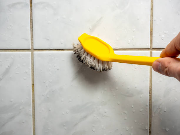 Best Toxic Mold Removal  in Susitna North, AK