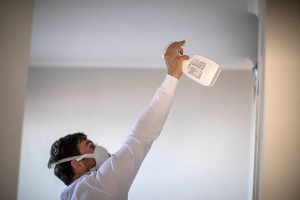 Best Local Mold Removal Service  in Susitna North, AK