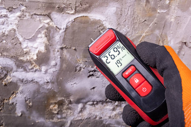 Best Certified Mold Removal  in Susitna North, AK