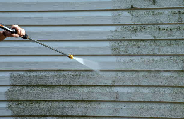 Certified Mold Removal in Susitna North, AK
