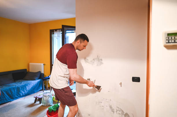 Best Toxic Mold Removal  in Susitna North, AK